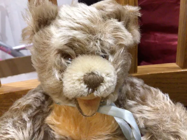 Vintage Steiff Zotty Frosted Mohair Teddy Bear With Working Squeaker