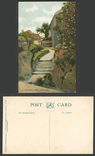Bermuda alte farbige Postkarte Ein skizzenhafter Weg Blumen Steinstufen Palmen Nr. 155