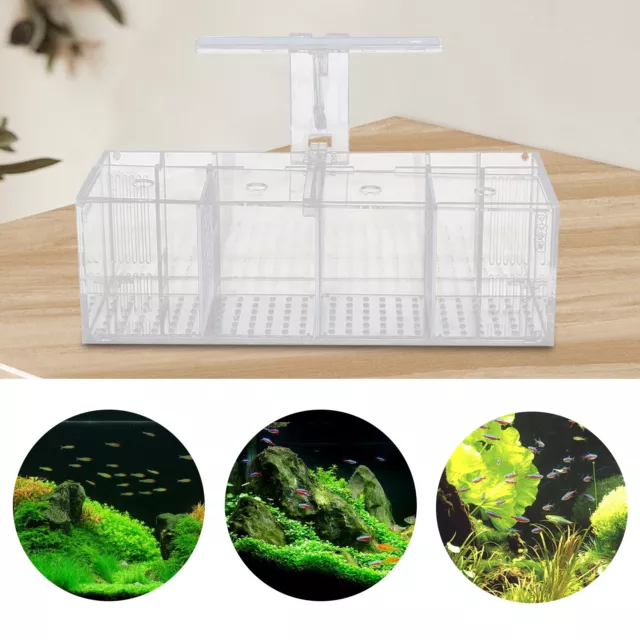 Fish Tank Aquarium Incubator Fish Breeding Hatching Box Acrylic Isolation Box