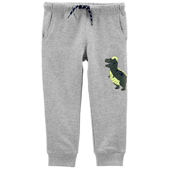 Baby Boy Carter's Dinosaur Terry Pants, Boy's, Size: 24 Months, Light Grey