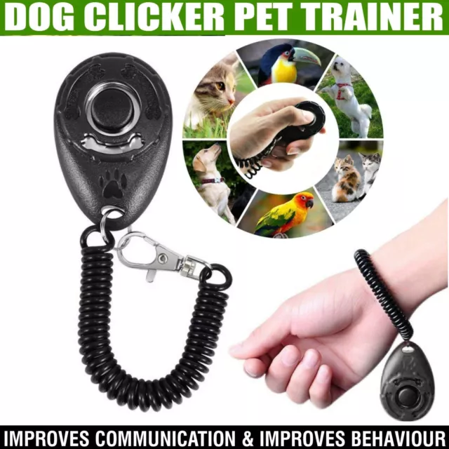 Herramienta de entrenamiento de perro cachorro clicker y recuerdo enseñanza obediencia comportamiento agilidad