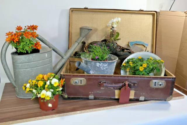 Pflanzkoffer Gartendeko Emailschüssel Gieskanne Schuhe Shabby Landhaus Nostalgie