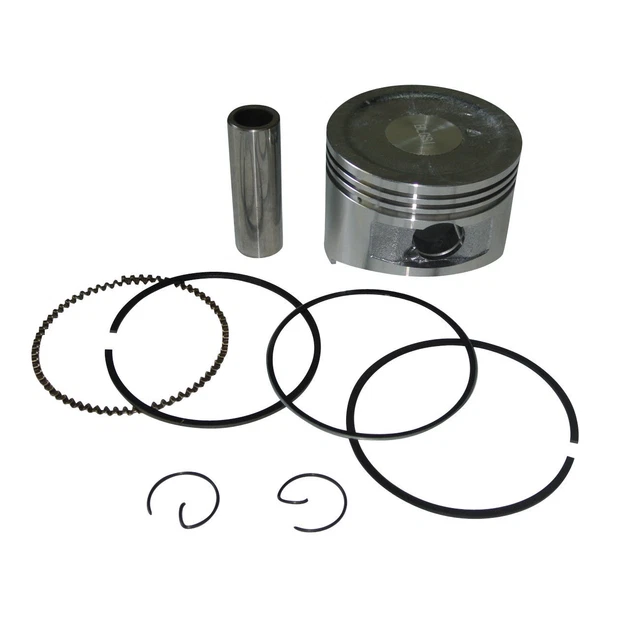 Piston Kit For Gas Coleman CT200U Trail200 Trail Mini Bike 196cc