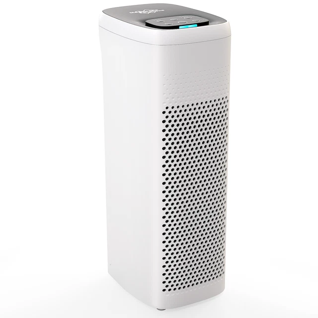 AIR PURIFIER FOR Home Large Room H13 True HEPA Air Cleaner Allergies