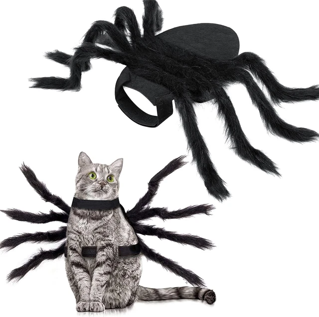 Costume Da Ragno Di Halloween per Cane Gatto, Costume Da Animale Domestico Di Ha