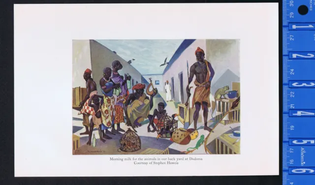 Dodoma, Tanzania, Africa: Morning Milk for Animals in Back Yard-1934 Smithsonian