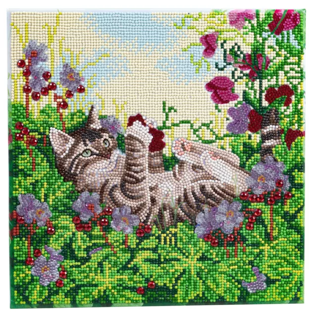 Spielerisch Katze Craft Buddy Kristall Kunst Auf Montiert Leinen 30x30cm Diamant