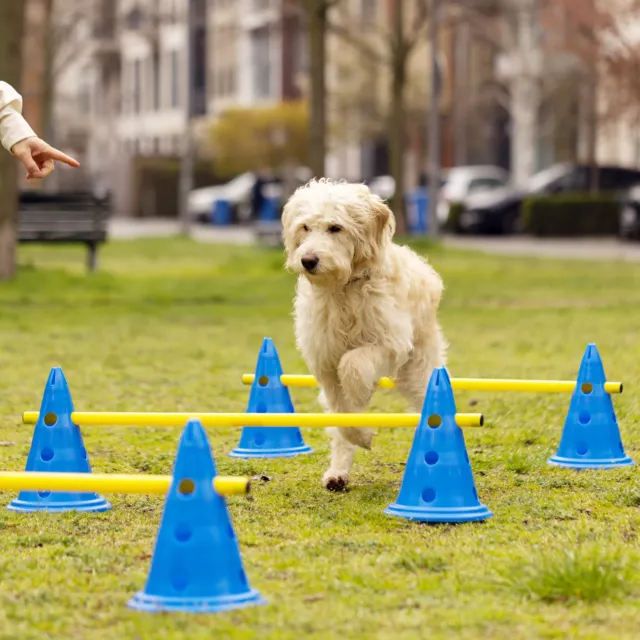 Kit d'entraînement pour chien - Obstacle agility chien avec 6x cône et 3 x bâton 2