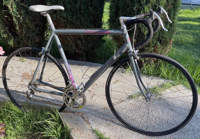 cannondale team comp