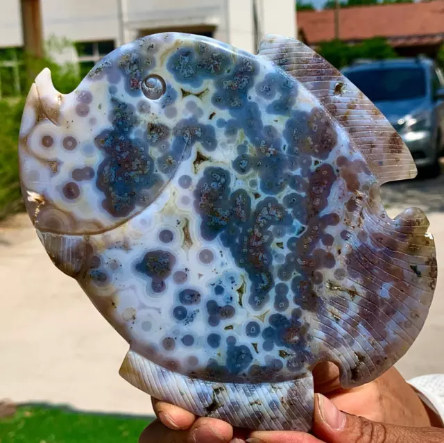 345G Amazing natural marine jasper crystal carving fish jasper aura stone
