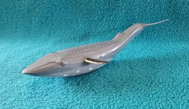 Blue Whale Figurine from the British Museum of Nat. History 7"