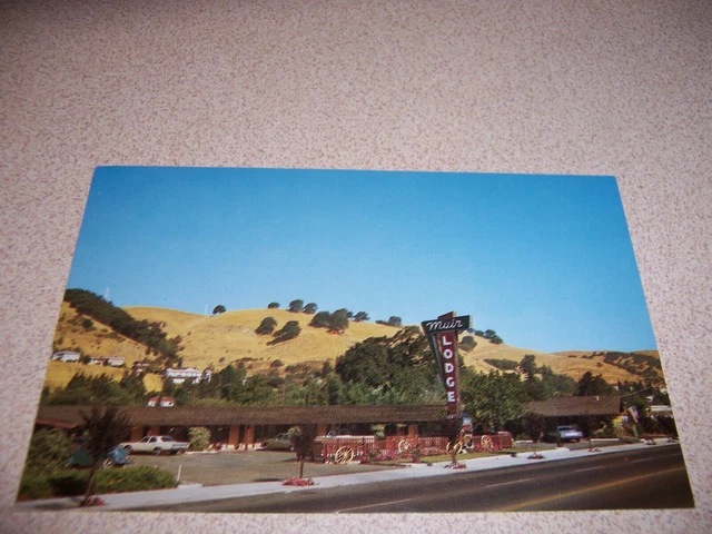 1960s MUIR LODGE MOTEL, MARTINEZ CA. VTG POSTCARD