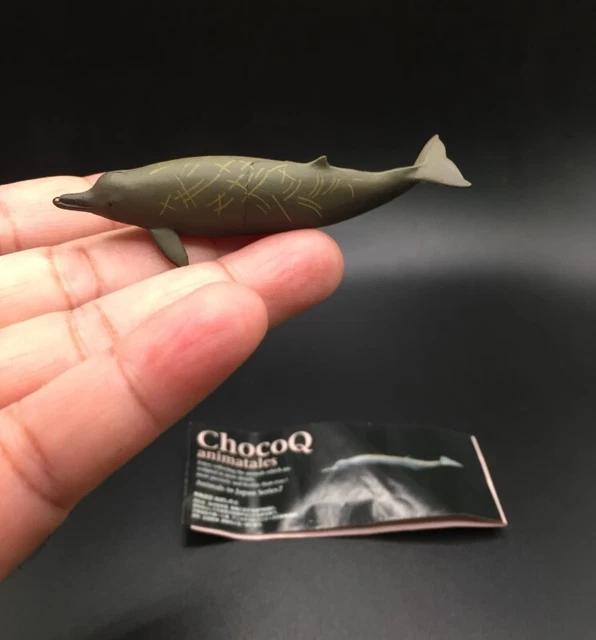 Kaiyodo Animatales Chocoq Choco Q Series 7 Baird’s Beaked Whale Figure japan imp