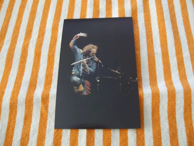 jethro tull postcard ian anderson SONGS FROM THE WOOD coral-lee 78 Dennis Warren