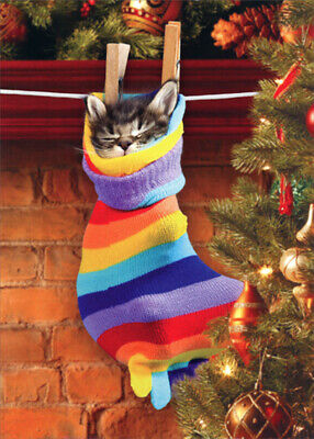 Sleeping Cat Inside Colorful Striped Stocking Kitten Box of 12 Christmas Cards