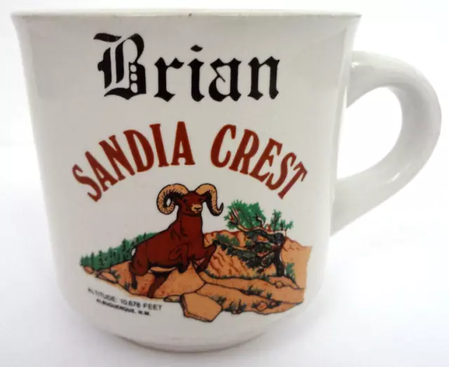 Sandia Crest Coffee Mug Cup Vintage Nm Travel Souvenir Personalized Name Brian