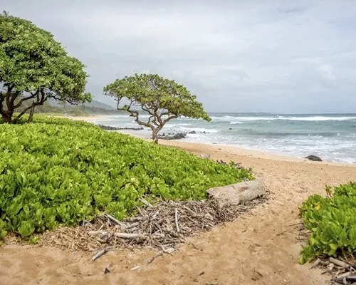 Wyndham Kauai Beach Villas 2 Bedroom Even Years Timeshare For Sale!