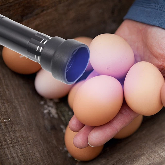 1pc Led Egg Candler Egg Candler Lampe Mirage des oeufs Machine 5