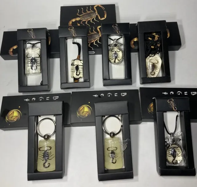 Lot of (7) NEW Scorpion Jewelry Pieces Necklace Bracelets Keychain Black Case