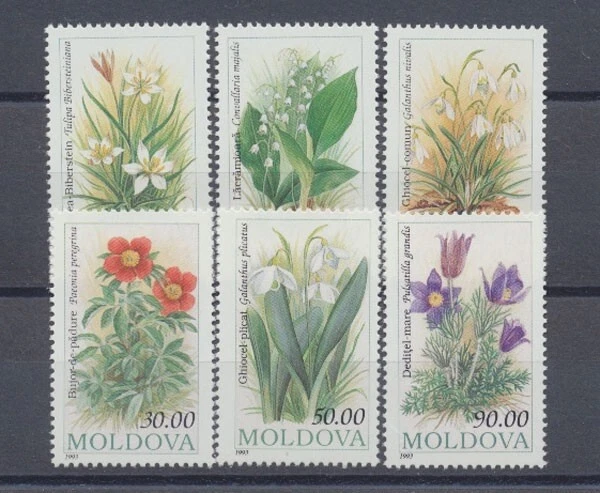 Moldawien, MiNr. 81-86, postfrisch / MNH - 64164