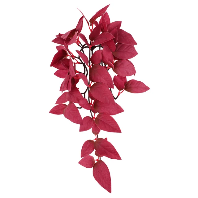 Vasca Per Tartarughe Con Design Antiscivolo - Ciotola Per Rettili E Anfibi - Foto 8