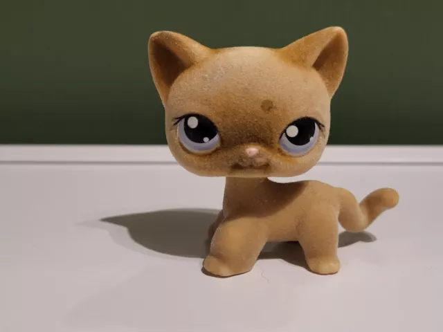 Lps #318 Littlest Petshop Original Authentic Chat Europeen European Cat Hasbro