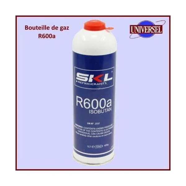 R600A Bouteille de gaz 420Gr 2