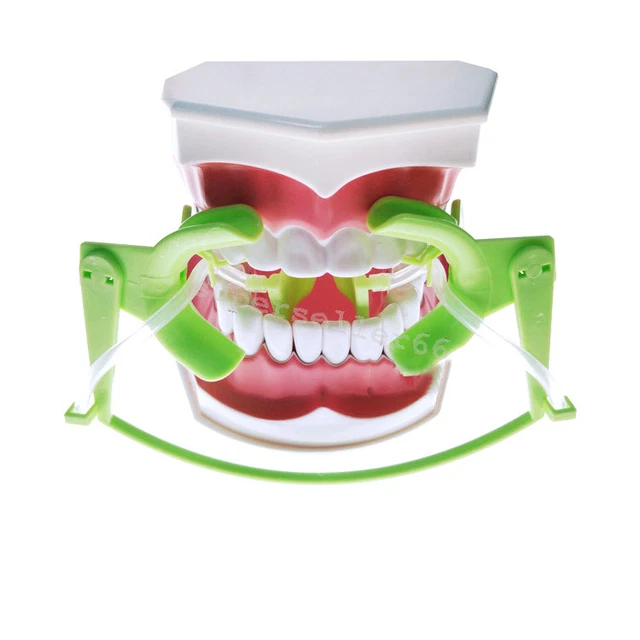1x Dental Retractor Oral Dry Field System Lip Cheek Retractor green Suction Tube