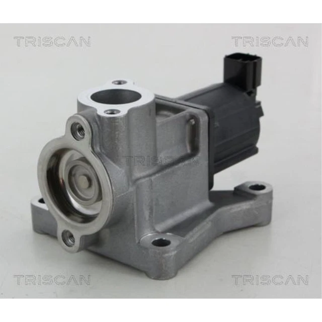 TRISCAN 8813 29045 AGR-Ventil für SEAT VW TRISCAN 8813 29045 AGR-Ventil für SEAT VW
