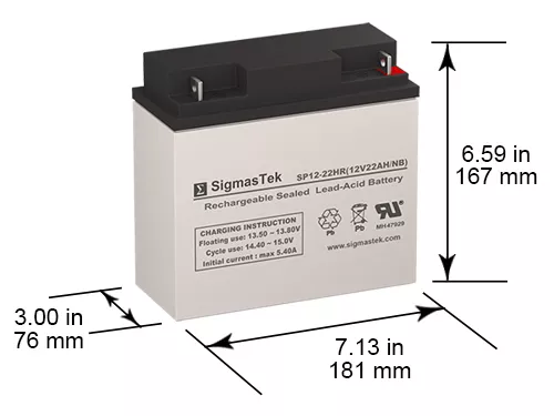 Raion Power RG12220FP 12 Volt 22 Amp Hour NB Battery (Replacement)