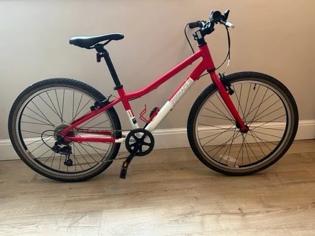 Pinnacle 24 inch bike hotsell
