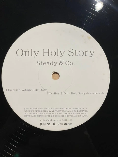 STEADY & CO. Only Holy Story 12