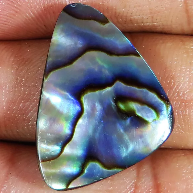 30.40 CT Naturel Abalone Coque Déguisement Cabochon 21x29x5 Ultra Gemme gt-234