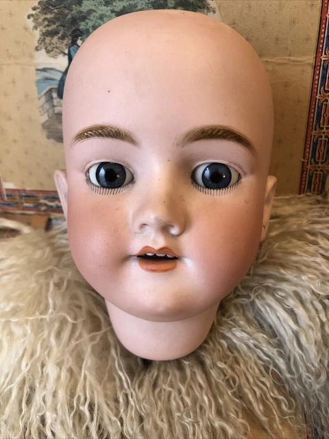 Antique GERMAN Handwerck 119 Larger Child Doll Head… Head Only