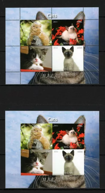 Malawi 2011 Cats Chats Gatos Pets Domestic Animals Fauna Imperf Bloc Stamps Mnh