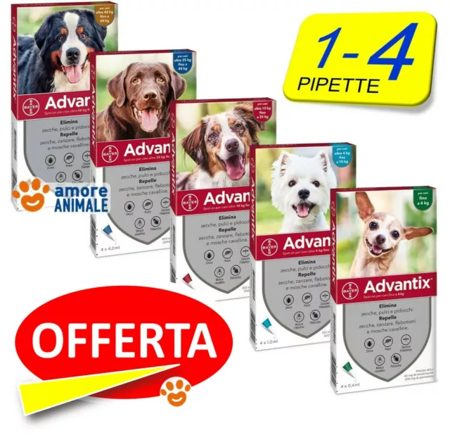 ADVANTIX BAYER 1 e 4 pipette per Cani da 0-4 / 4-10 / 10-25 / 25