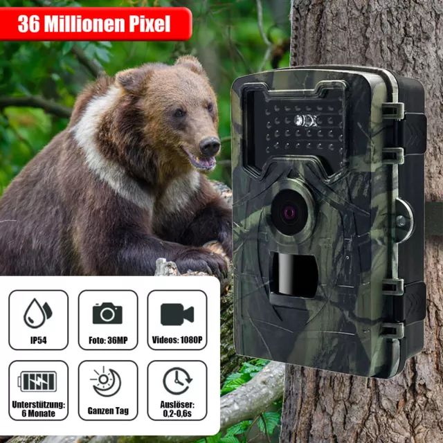 Wildkamera 4K 36MP Video Jagdkamera Bewegungsmelder PIR Nachtsicht Mit SD Karte