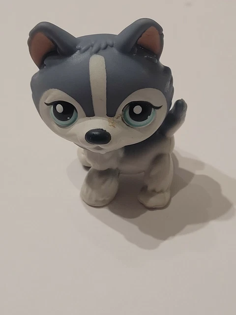 Littlest Pet Shop #1676 LPS authentique Chien Dog Colley Violet Yeux Bleus Rare - Jeux & Jouets