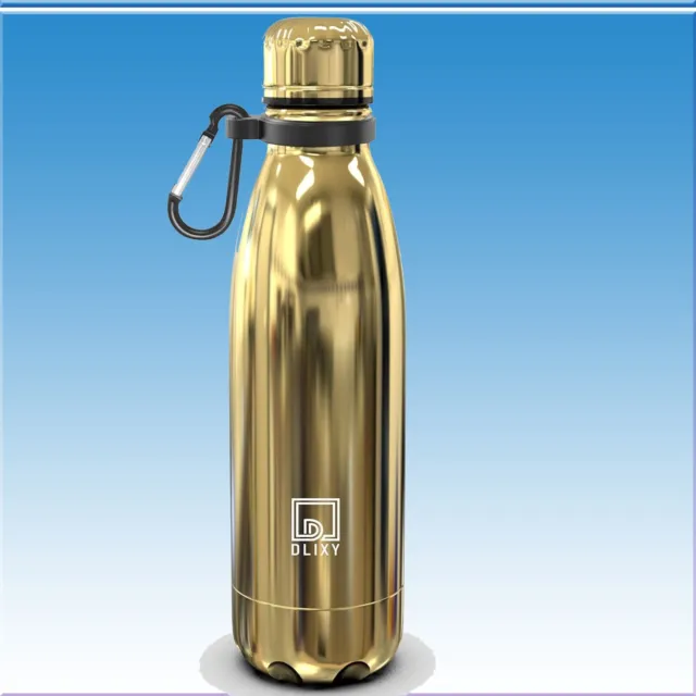 DLIXY Stainless Steel Water Bottle 500ml 12h Hot 24h Cold Metal Gold WaterBottle