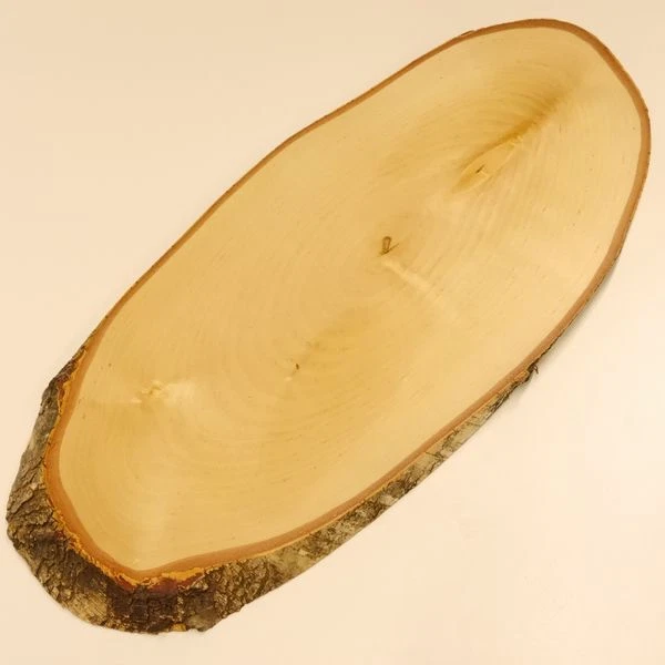 Abedul Ciervo AF44cm Placa Escudo de Trofeo Cornamenta Baumschild Natural Madera