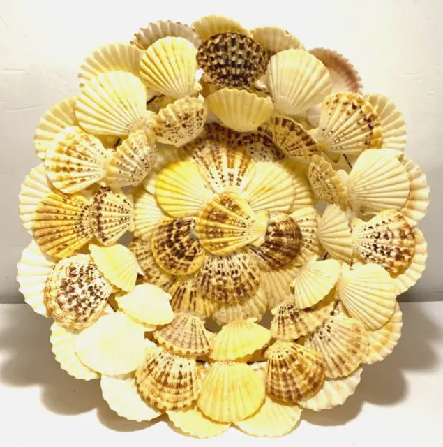 Ooak Hand Made Real Scallop Shell Large Decorator Basket Bowl ~ Over 70 Shells
