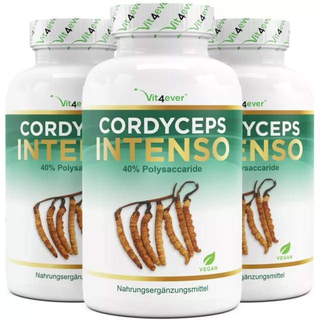 3x Cordyceps Intenso = 540 cápsulas 650 mg 100% extracto de Cordyceps Sinensis 10:1