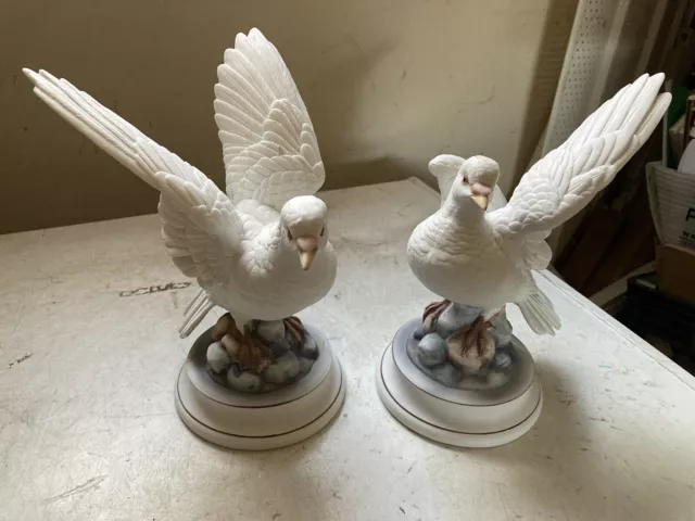 Vintage White Dove Pair by Andrea Sadek 7700 Porcelain 9" Figurines Japan