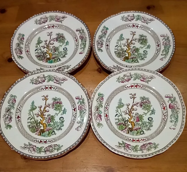 Antique 4 Booths Indian Tree Silicon Ware. 23 Cm / 9" Salad/Dinner Plates. Rare