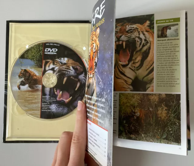 DVD Film documentaire Tigre des marais 2