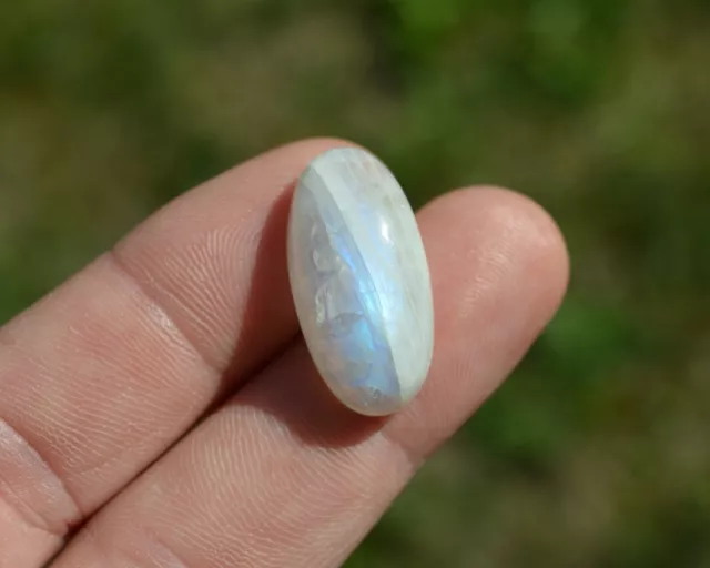 Cabochon Pierre de lune du Sri Lanka 22,70ct mineraux moon stone cab hecatolite