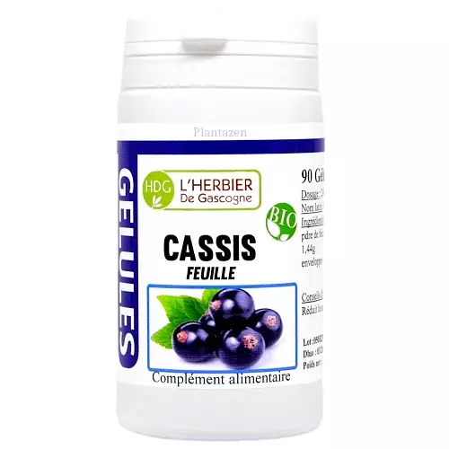 Cassis feuille Bio | 90 gélules Vegan | Articulations | Draineur | Circulation