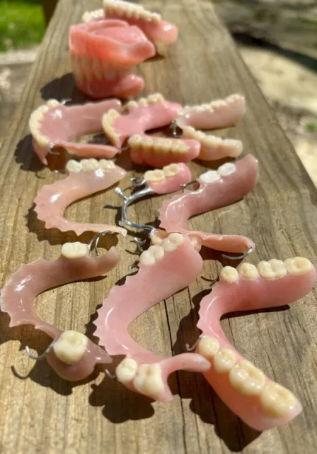 Vintage 13 Dentures Dental Collectible Fake Teeth Art Crafts