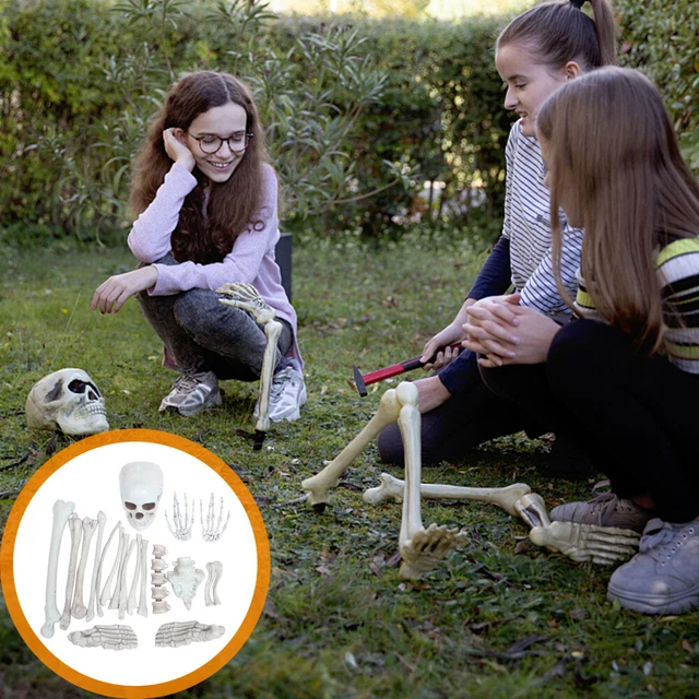 Fausse langue élastique pour fête d'Halloween, modèles réalistes, farce Fausse langue élastique pour fête d'Halloween, modèles réalistes, farce