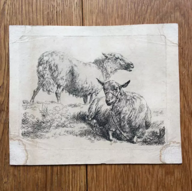 Nicolaes Berchem MOUTONS Gravure Ancienne du XVIIème